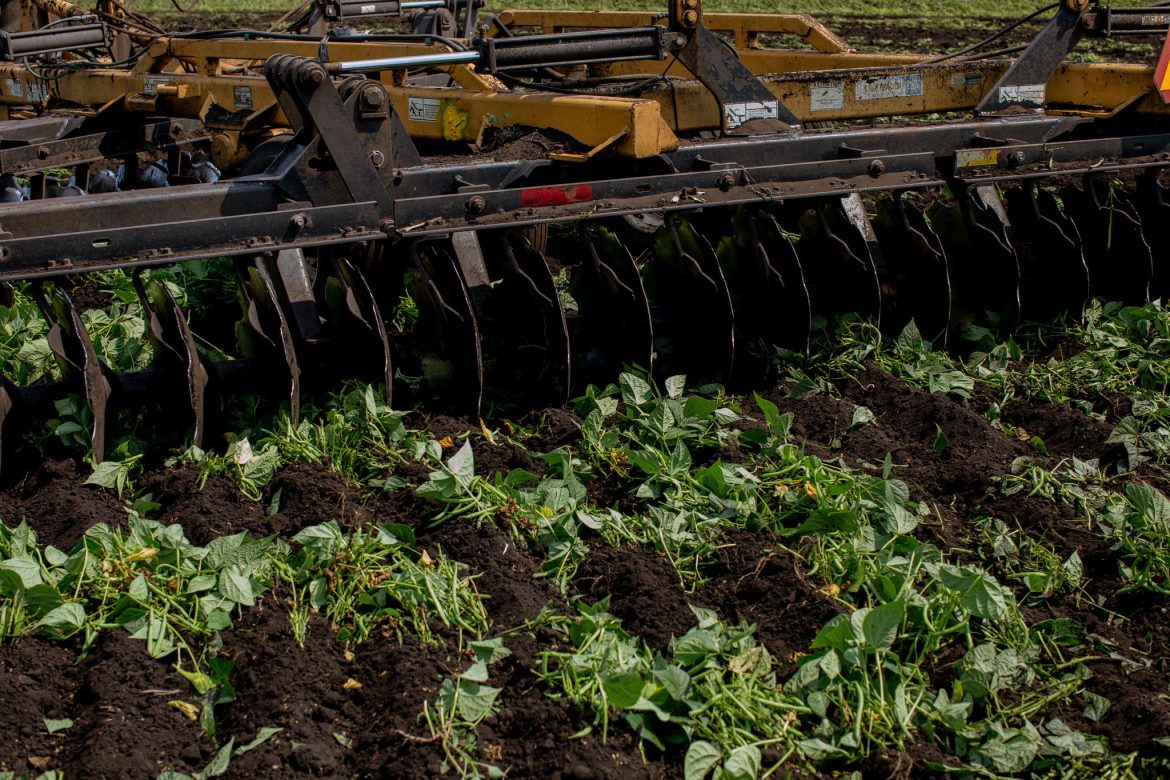 merlin_171468711_f5dd24cb-5b4f-4cab-a8da-d71a5c436634-superJumbo