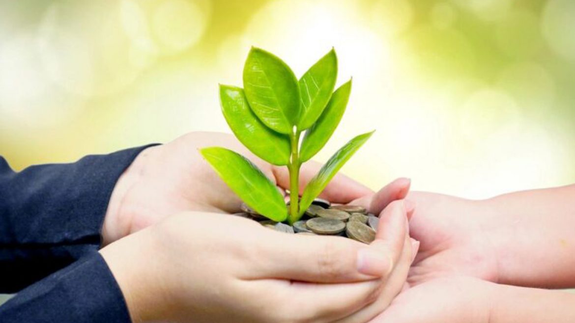 fatih-canbaz-karzı-hasen