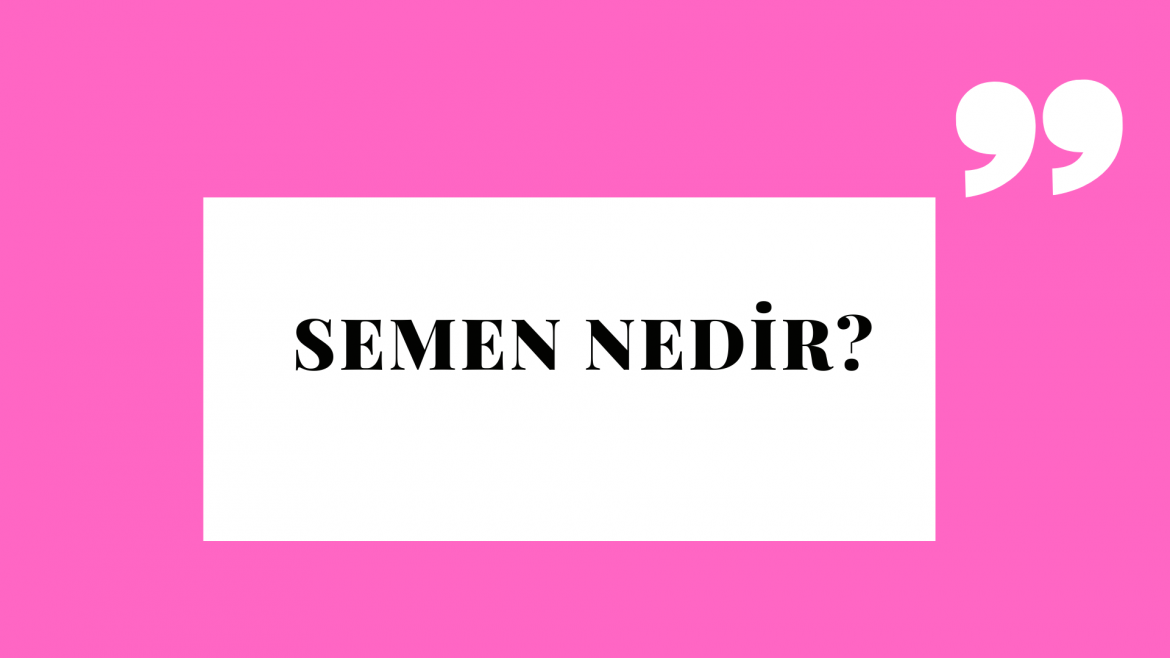 Beyʿ (Sale) Nedir (60)