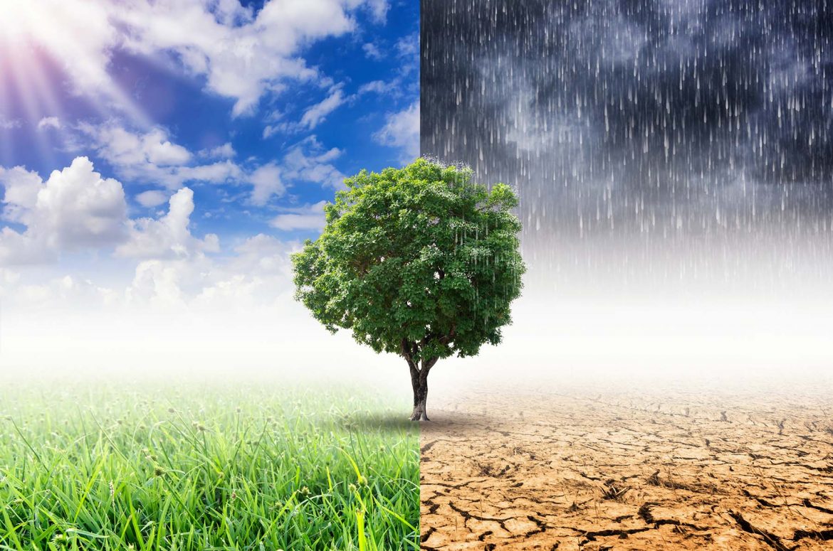 Concept of climate change.